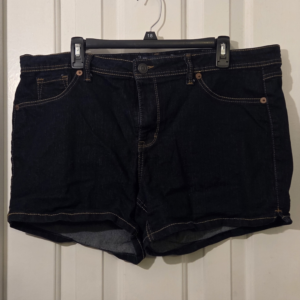 Fade To Blue: Denim Women's Jean Shorts.  Size 20W.